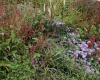 Tuin | Kwekerij In Goede Aarde (foto: Truus Klok)